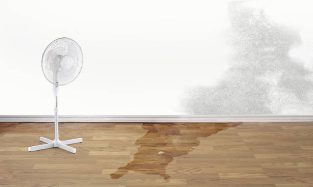 Best 24/7 water damage repair  in , AL