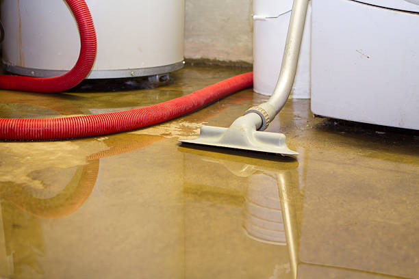 Best Water damage contractors near me  in , AL
