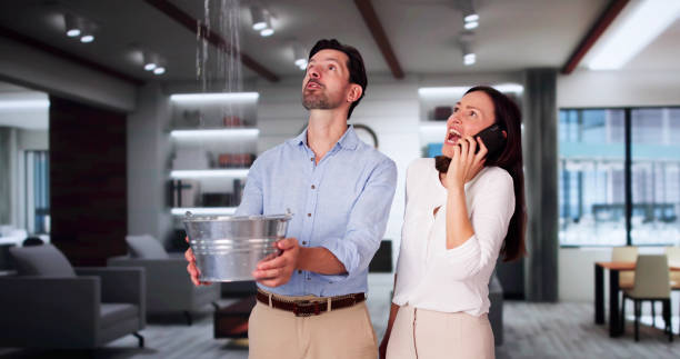 Best Flood damage cleanup  in , AL